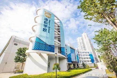 清河至臻爆料最新消息新闻,最新消息揭示惊人内幕